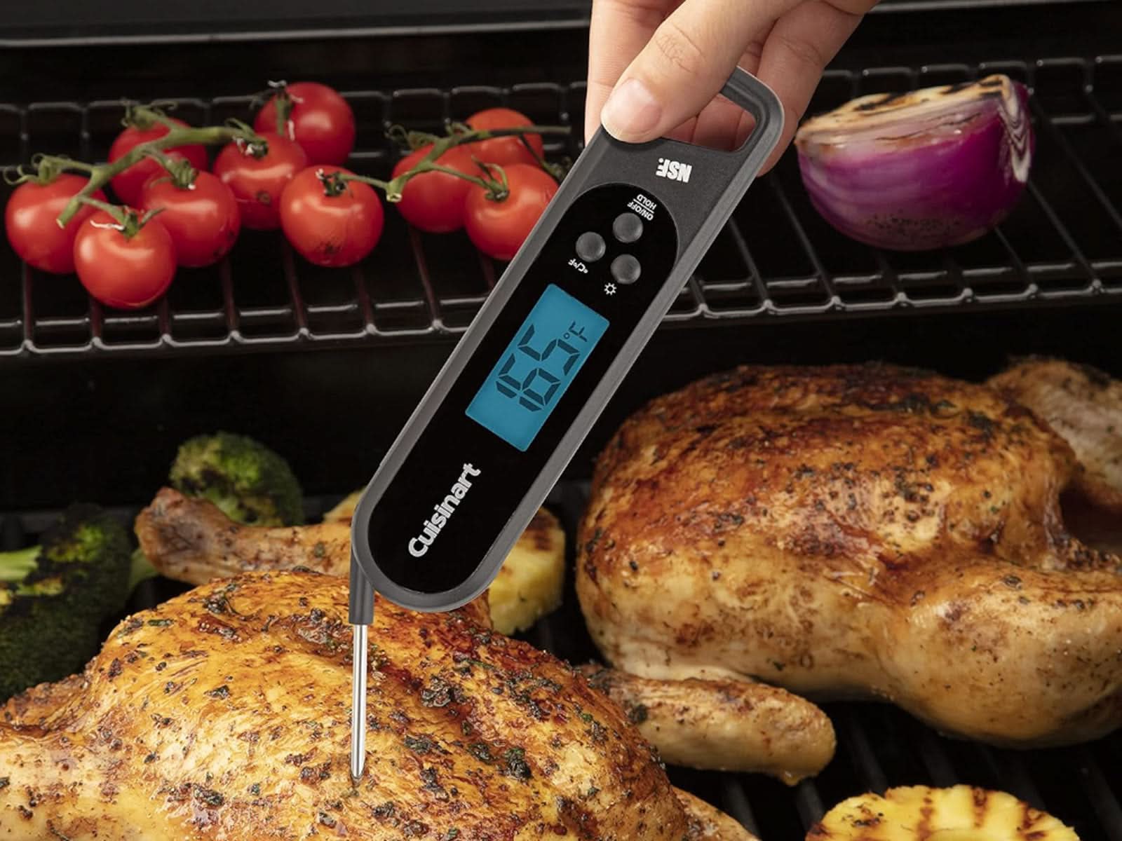 Termometro Cuisinart 1 Sonda