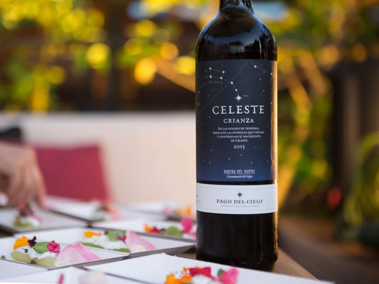 Vino Celeste Crianza Familia Torres