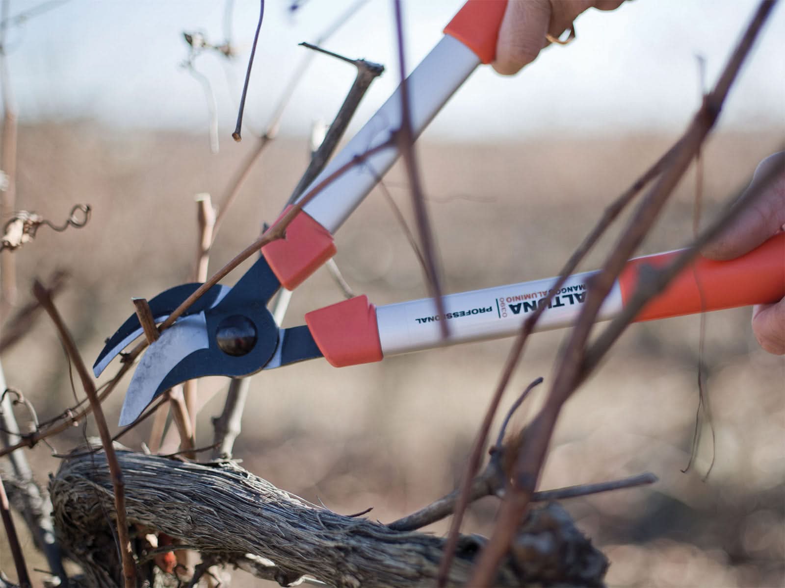 Tijera Poda Fija 2 Manos Altuna