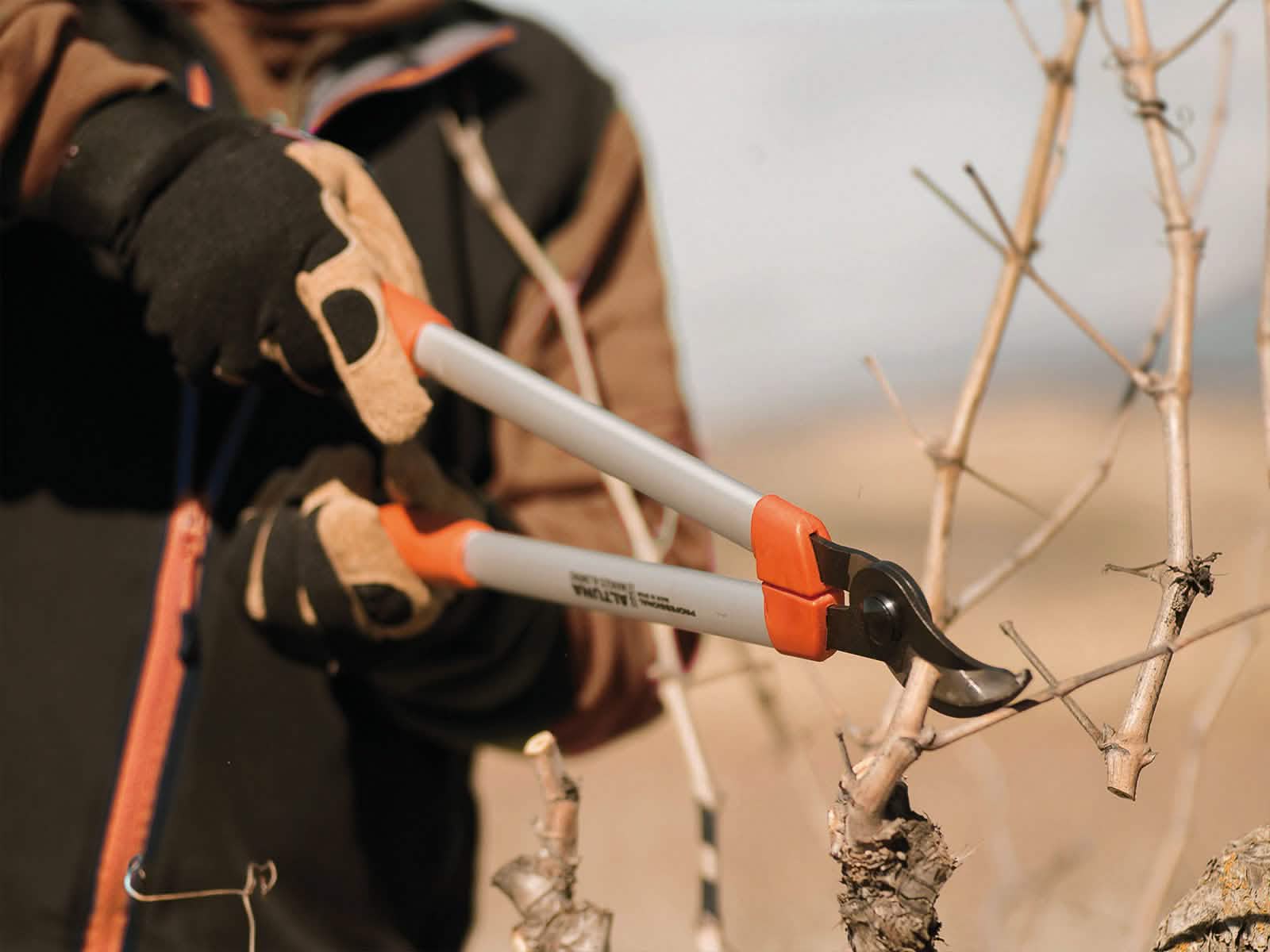 Tijera Poda Fija 2 Manos Altuna