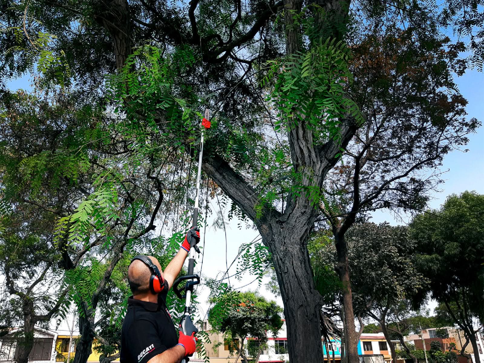 Maquina Multiusos Ducati