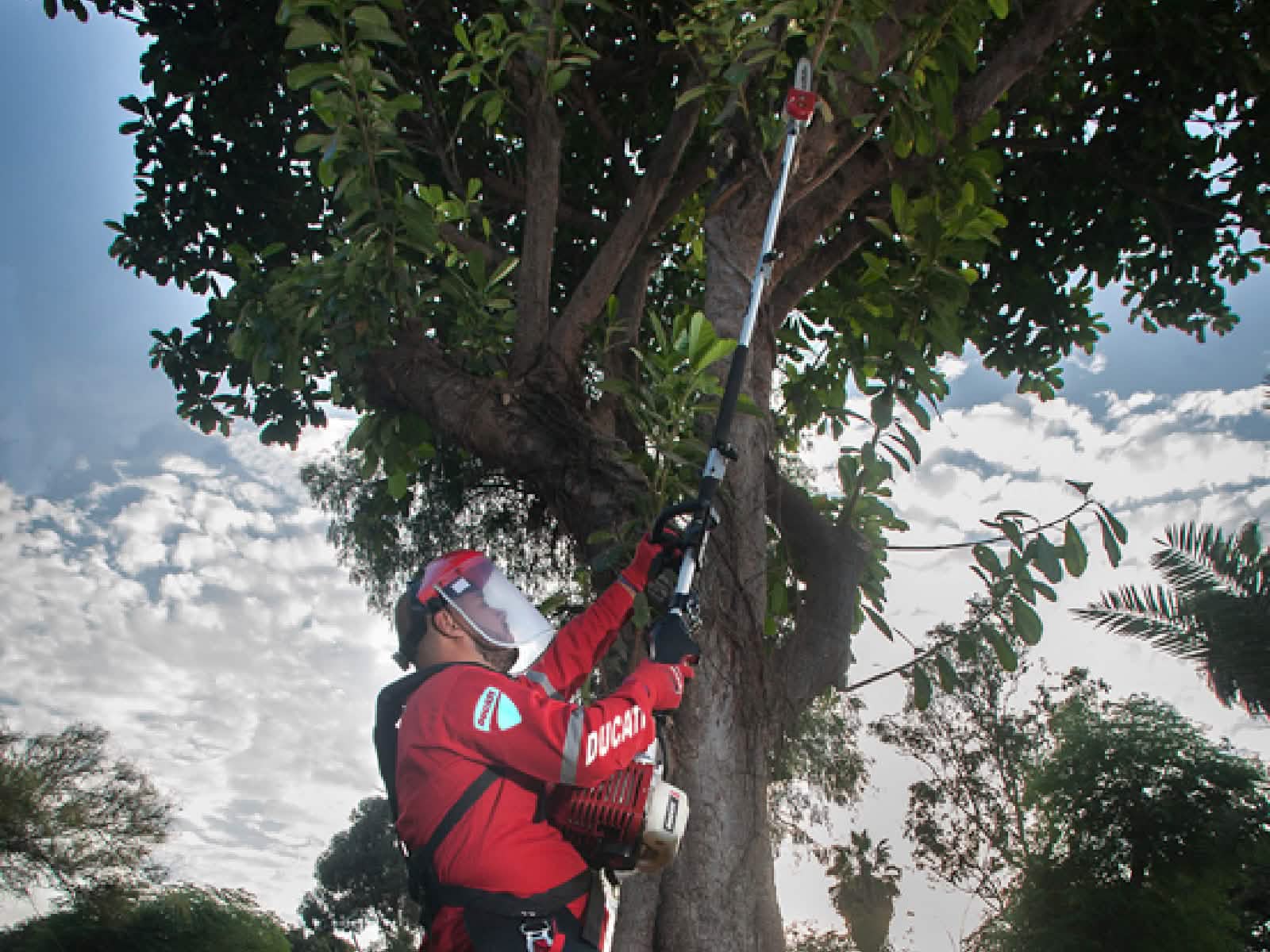 Maquina Multiusos Ducati