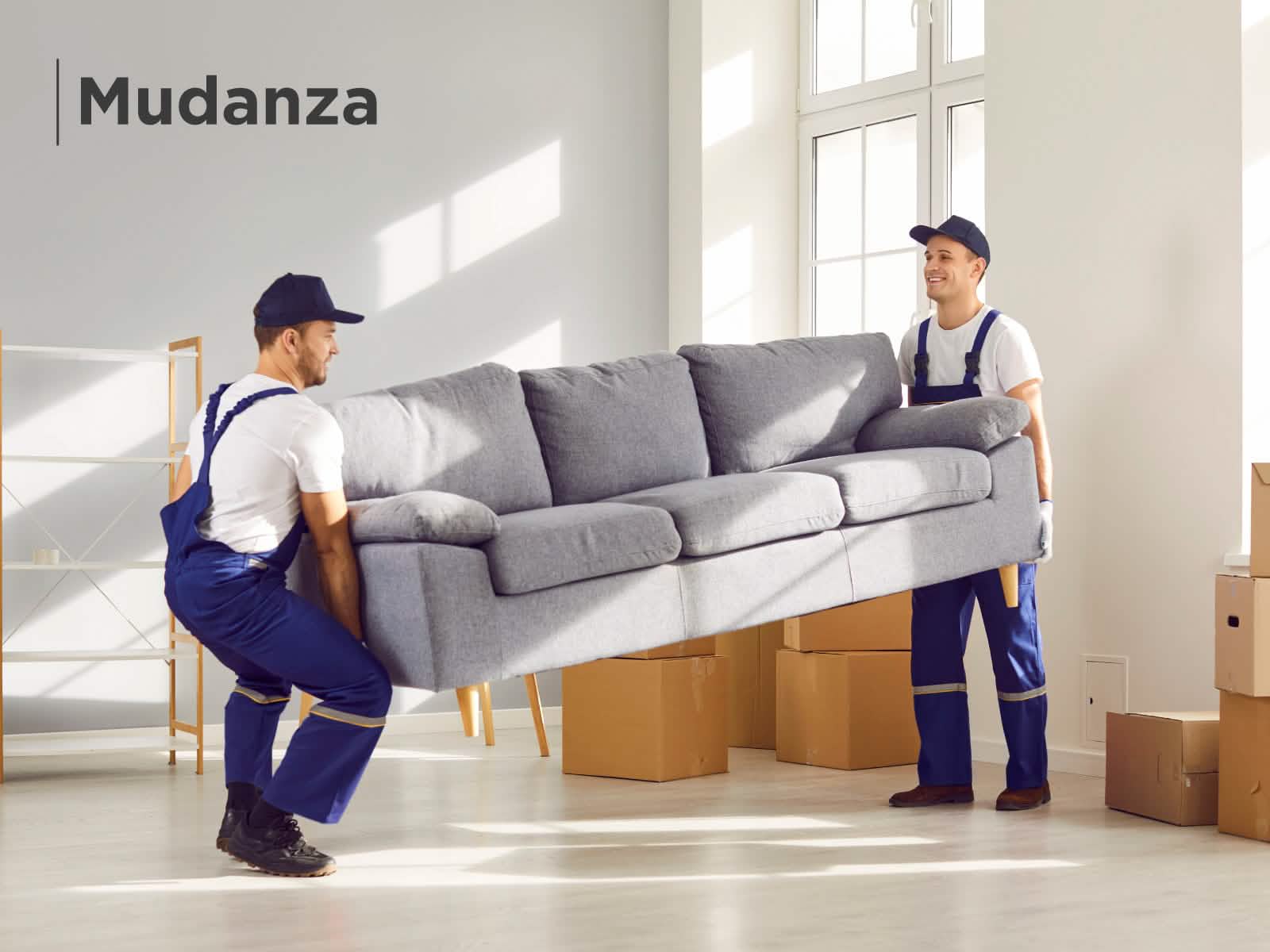 Sofa Solutions