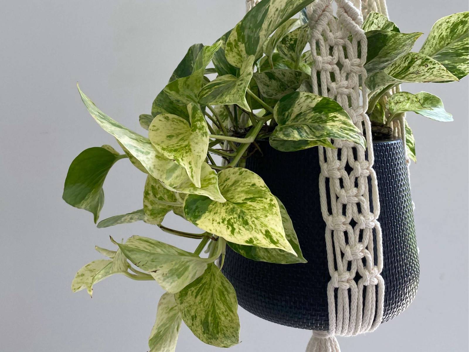 Porta Maceta Crudo Oscuro Khipu