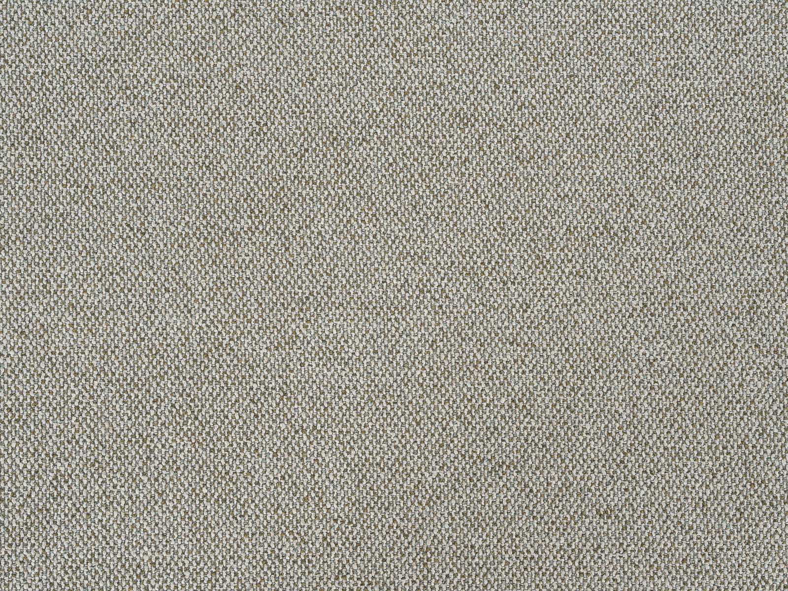 #Color_Tan"T26600"