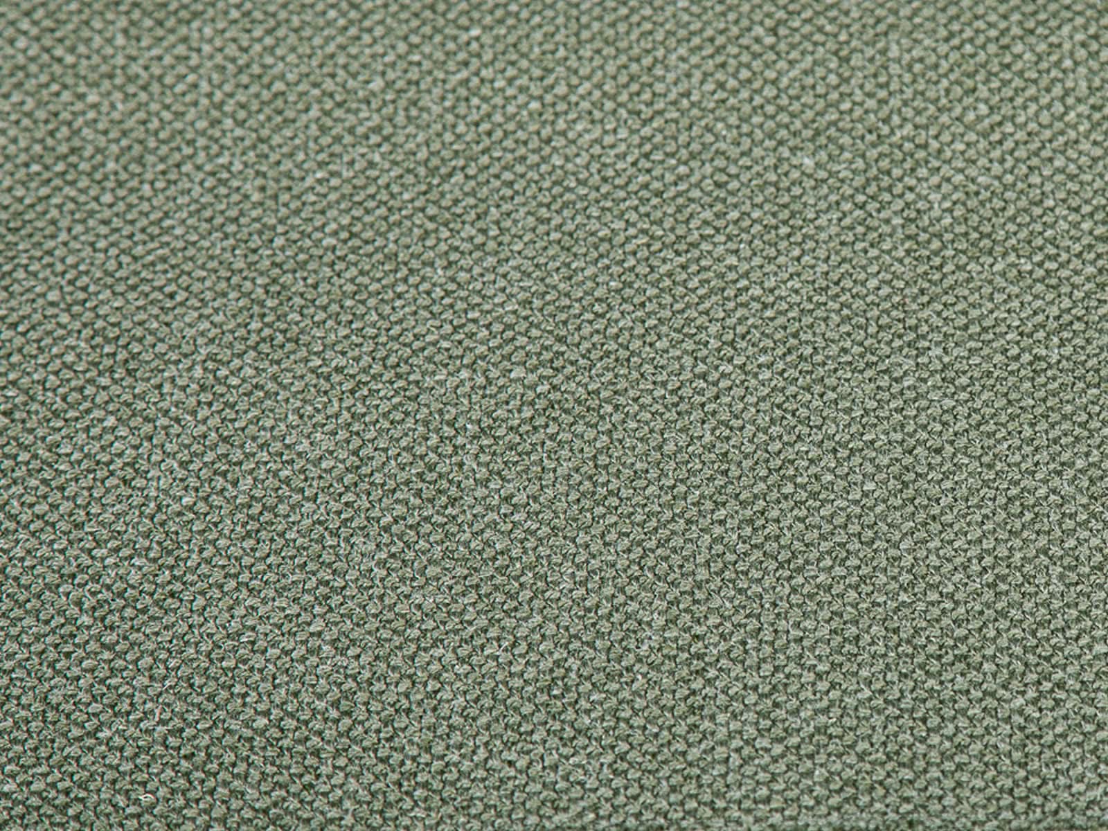 #Color_Olive"T36600"