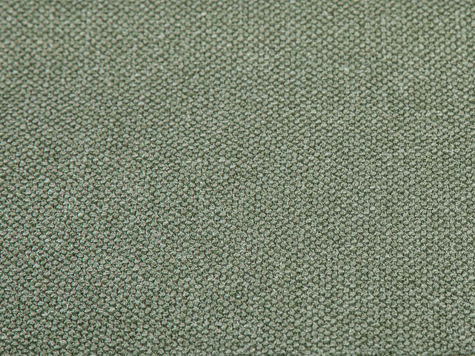 #Color_Olive"T36600"