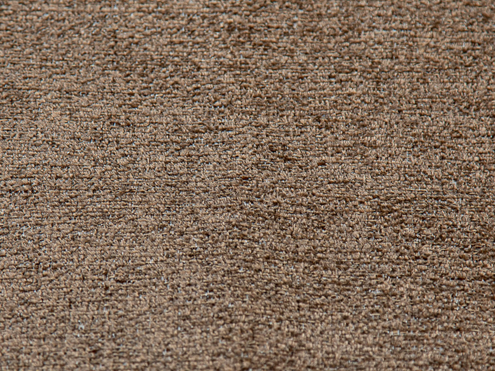 #Color_Sienna"T36701"