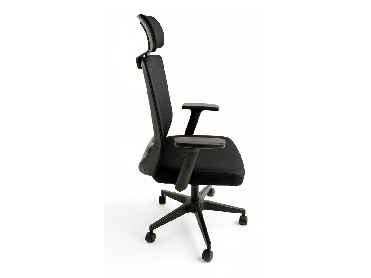 Silla Ejecutiva 245