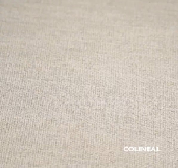 #Color_OldLace"T36113"