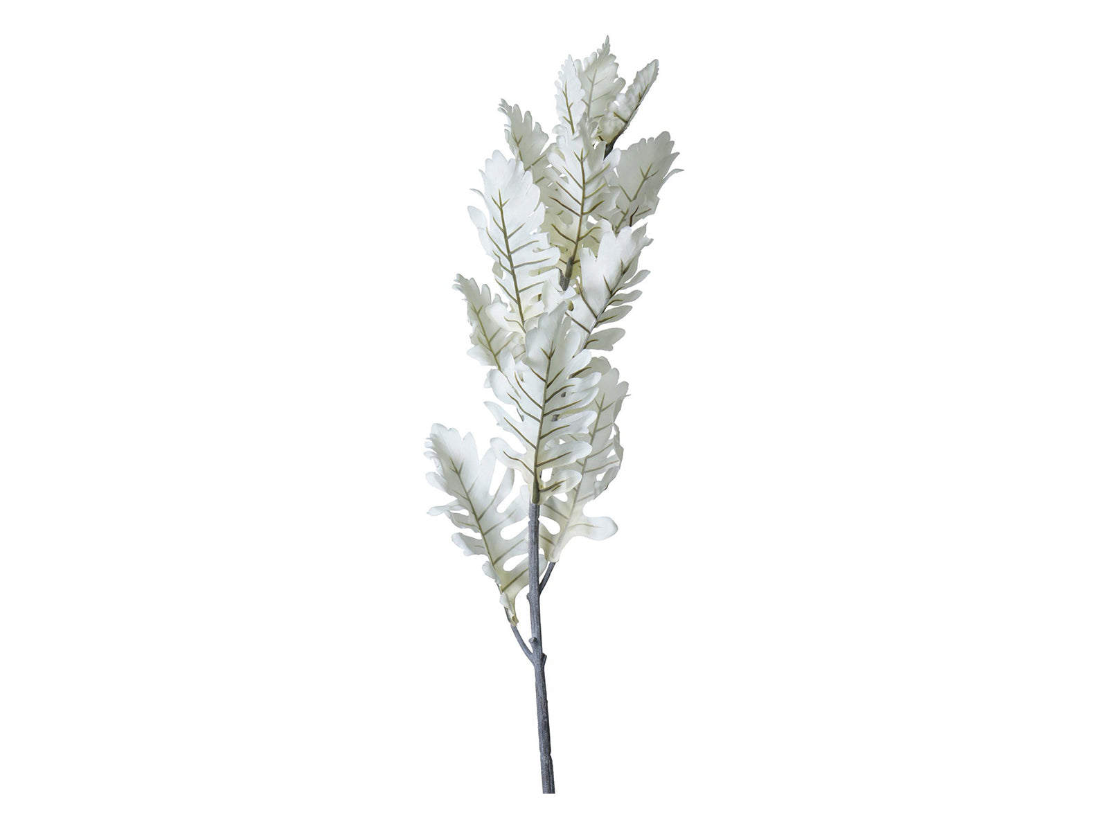 Rama Decorativa 76cm C/Blanca
