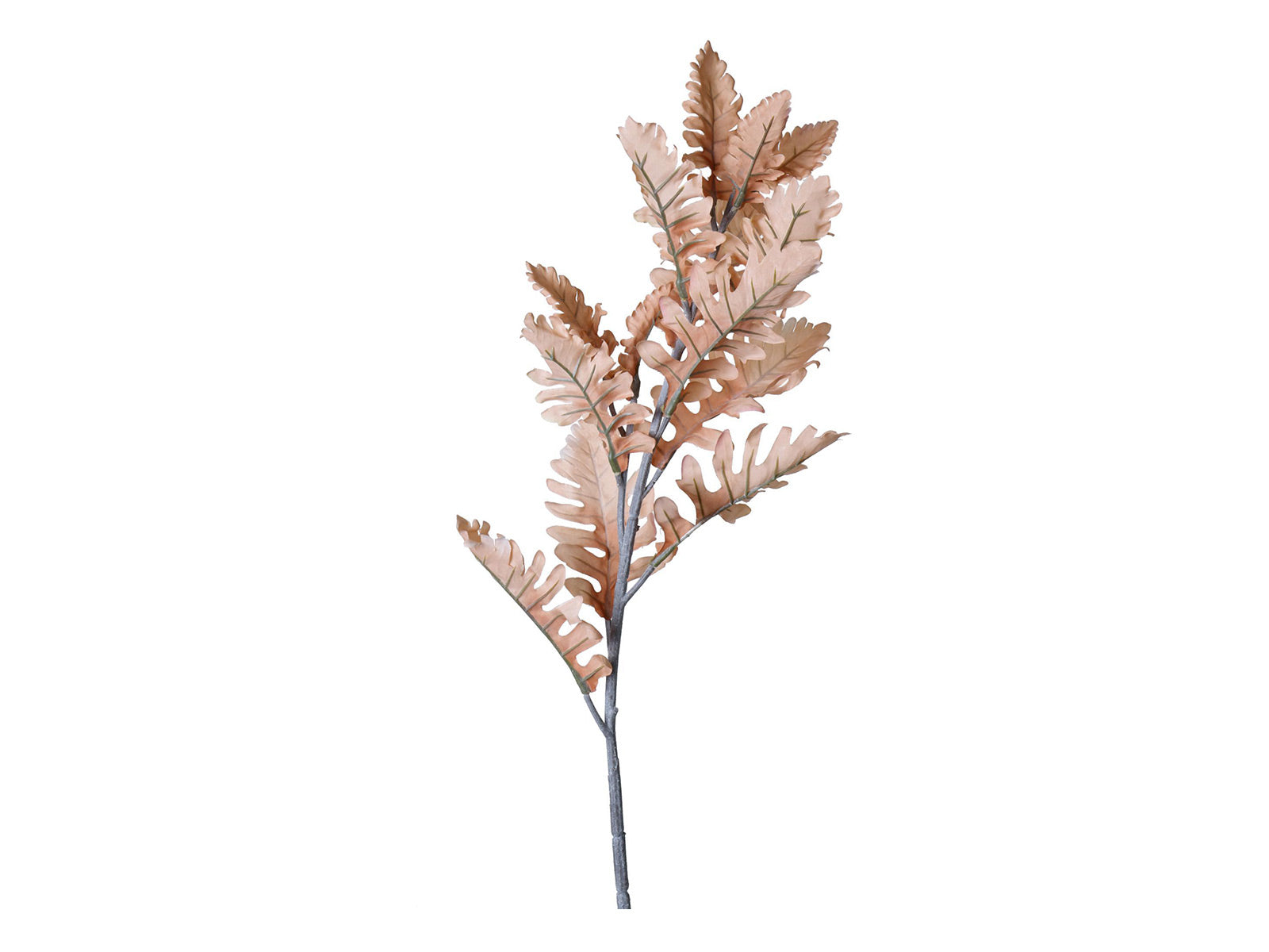 Rama Decorativa 76cm C/Cafe