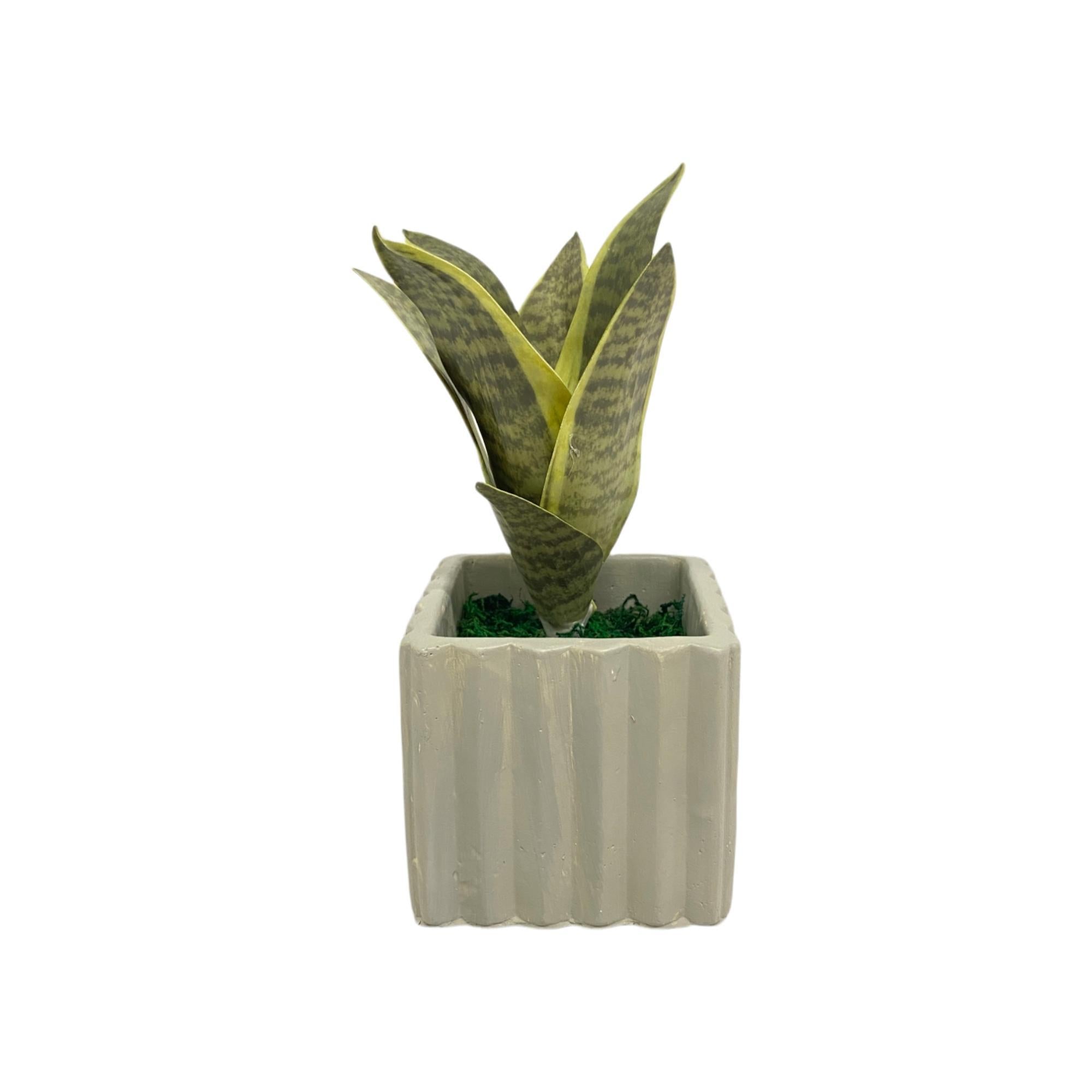 Arreglo Floral con Pote C/Verde 23x10.5cm