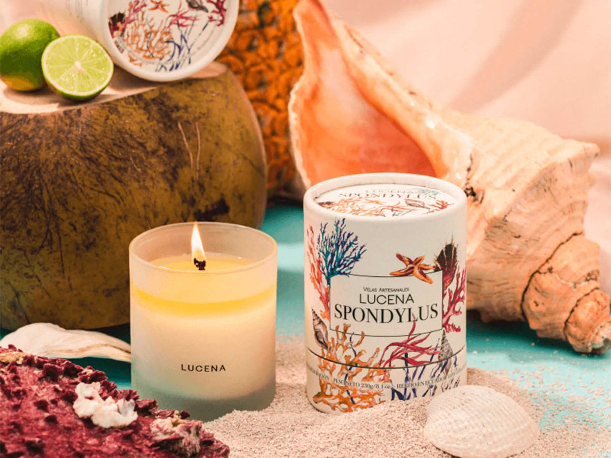 Vela Aromatica 280G Spondylus