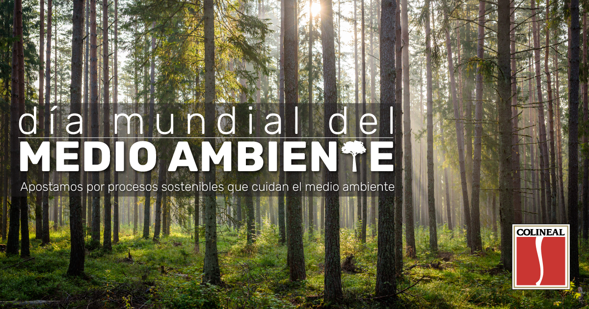 Día del Medio Ambiente