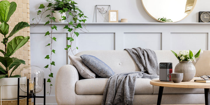 9 magníficas formas de decorar tu sala de estar con plantas
