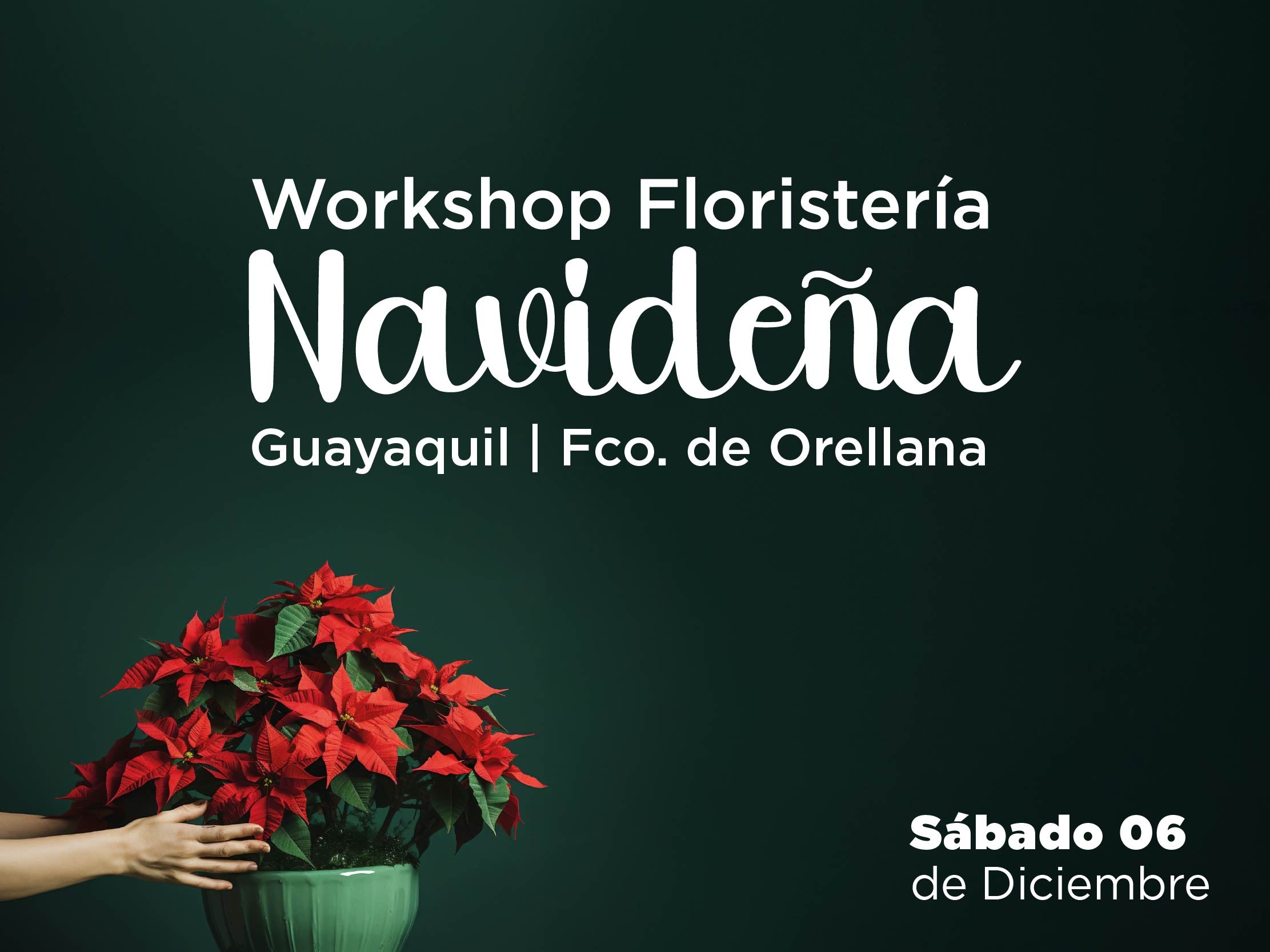 Workshop de Floristería Navideña – Guayaquil