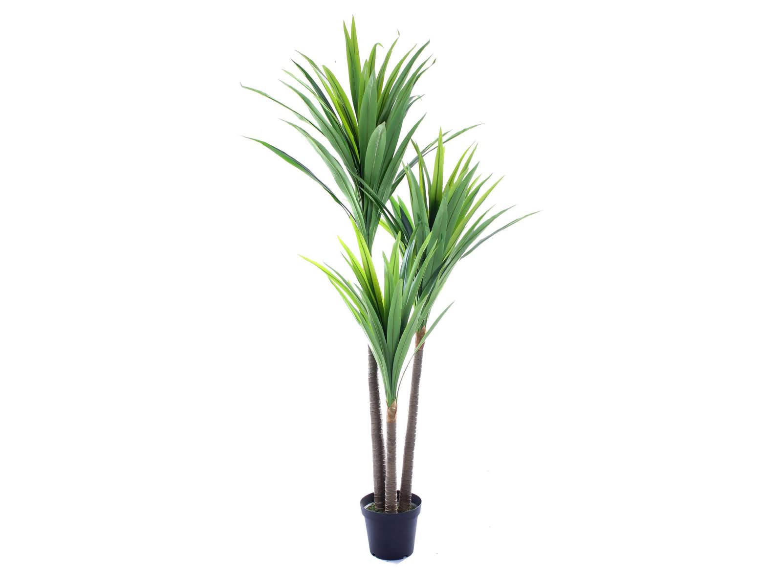 Planta Decorativa 200cm C/Verde
