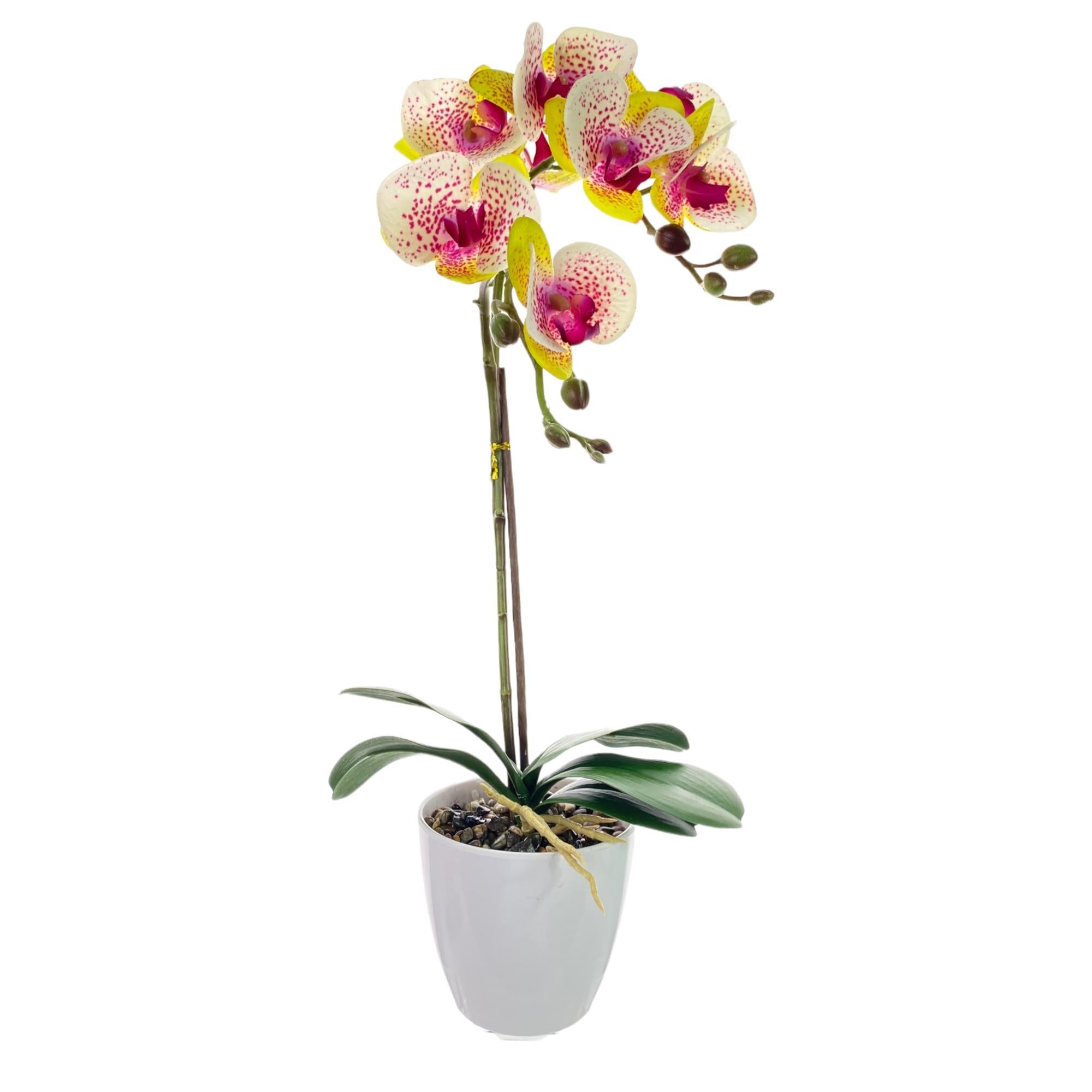 Arreglo Floral Orquídea 50Cm Amarillo