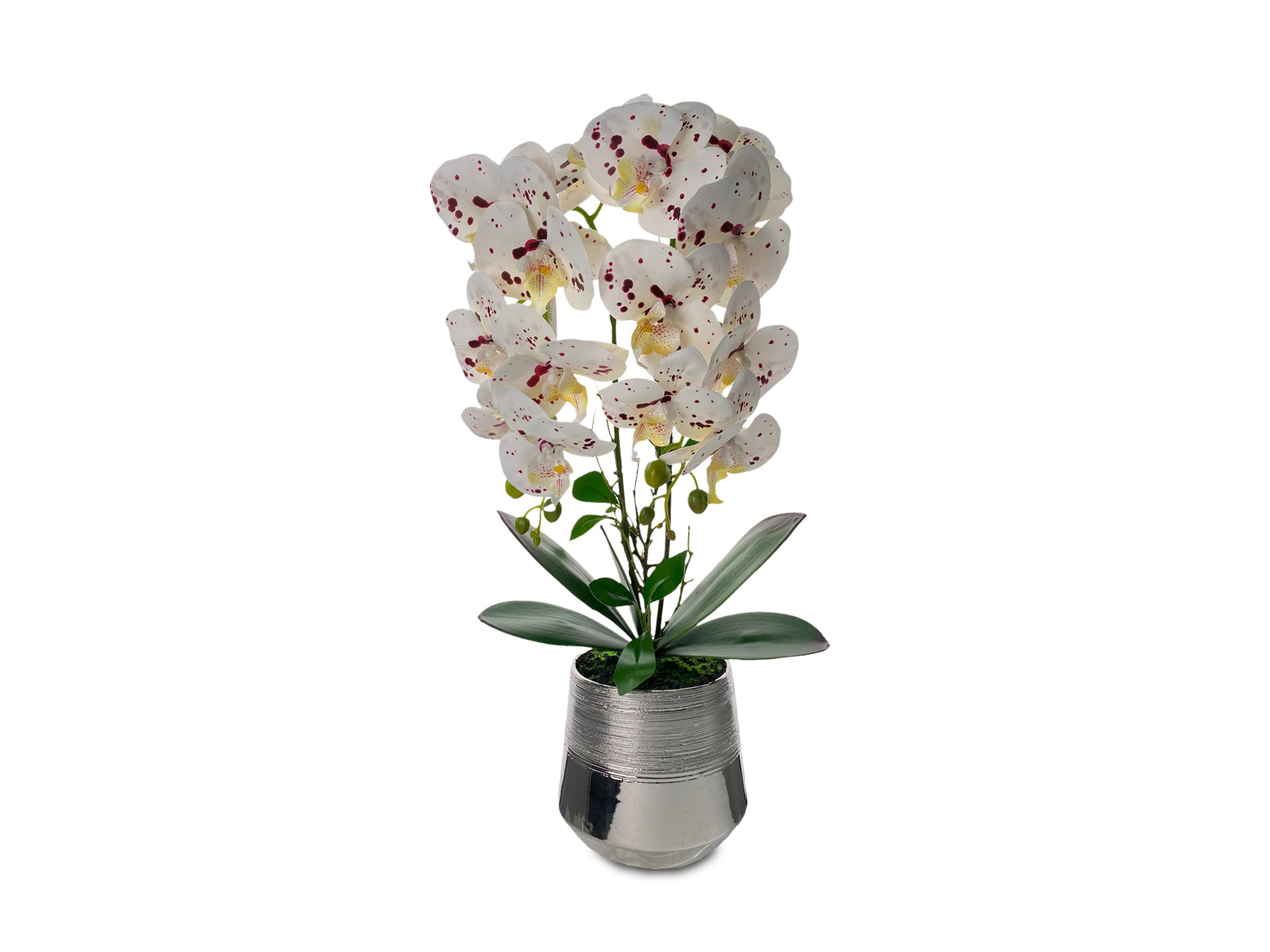 Arreglo Floral 35X56Cm Blanco