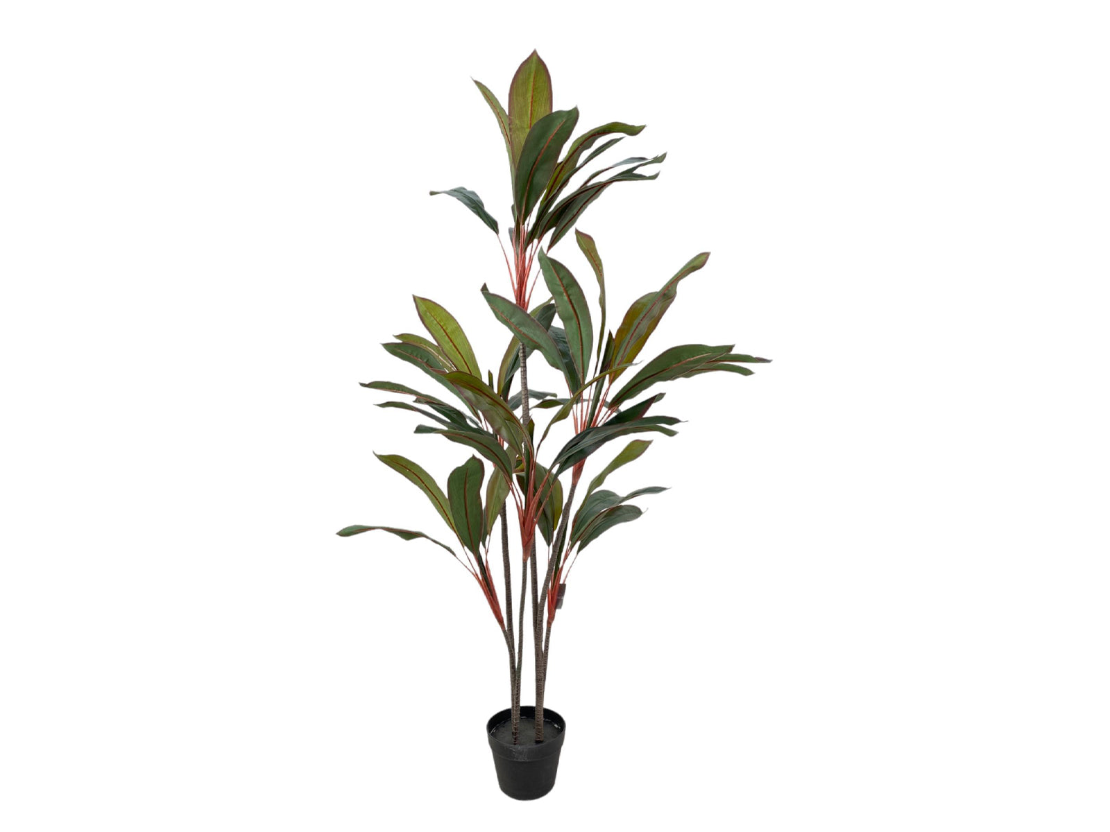 Planta Decorativa 150Cm Verde