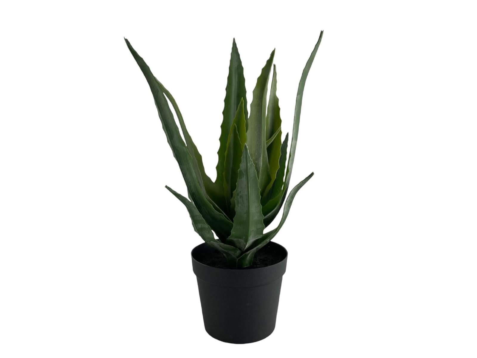 Planta Decorativa 29Cm Verde