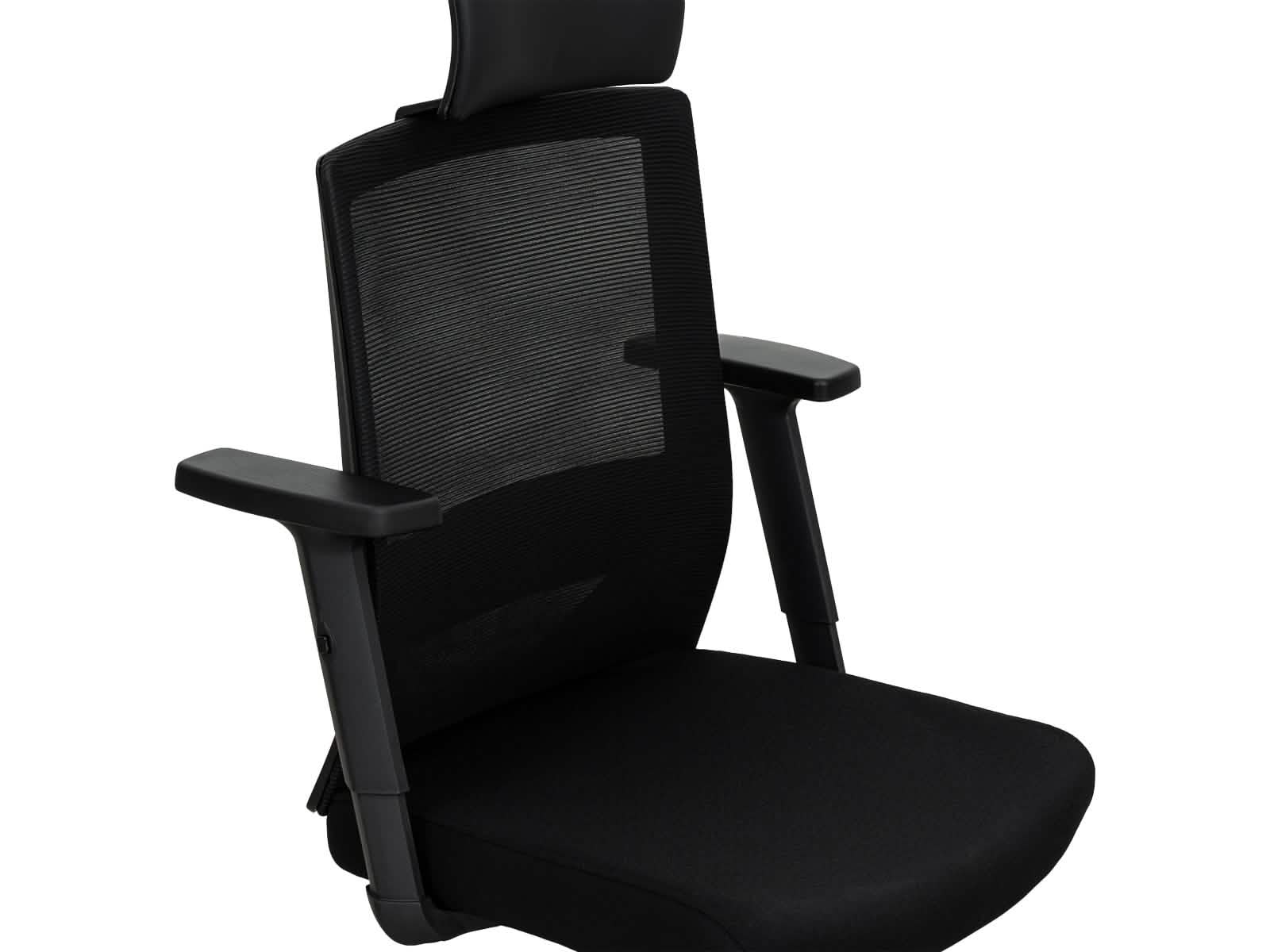 Silla Ejecutiva 245