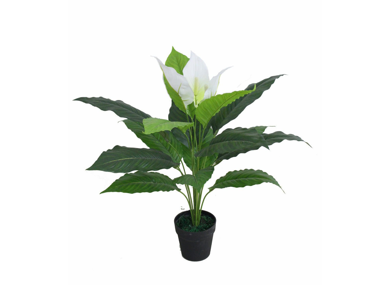 Planta Artificial Decorativa Anturio con Maceta 70cm