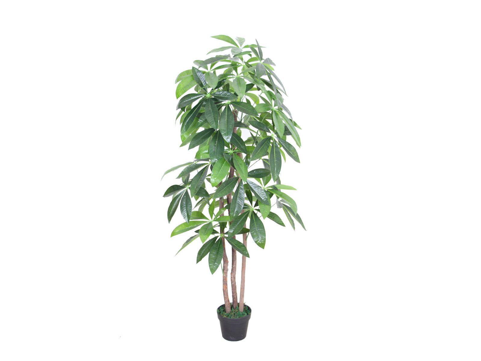 Planta Artificial Decorativa Arbol de la Fortuna con Maceta 150cm