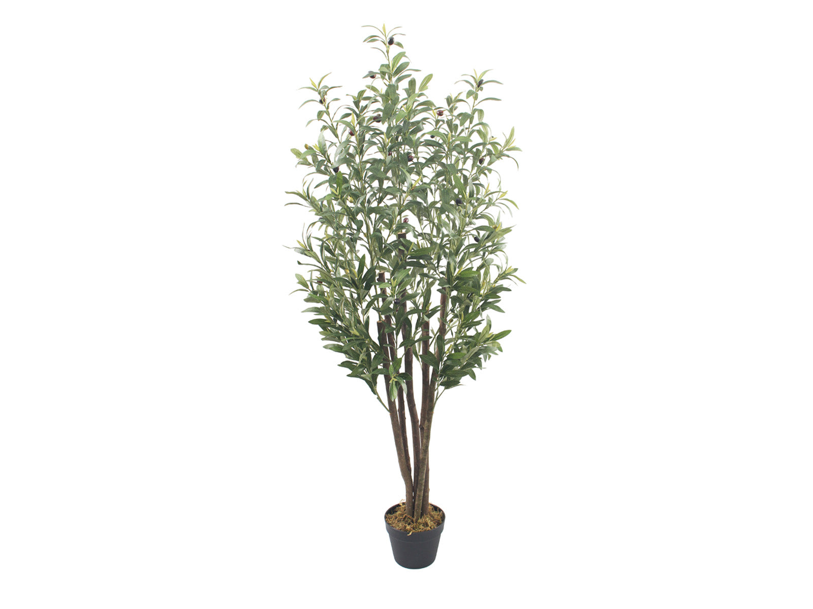 Planta Artificial Decorativa Olivo con Maceta 150cm