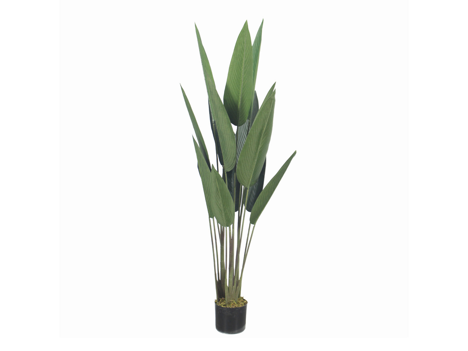 Planta Artificial Decorativa Ave del Paraiso con Maceta 140cm