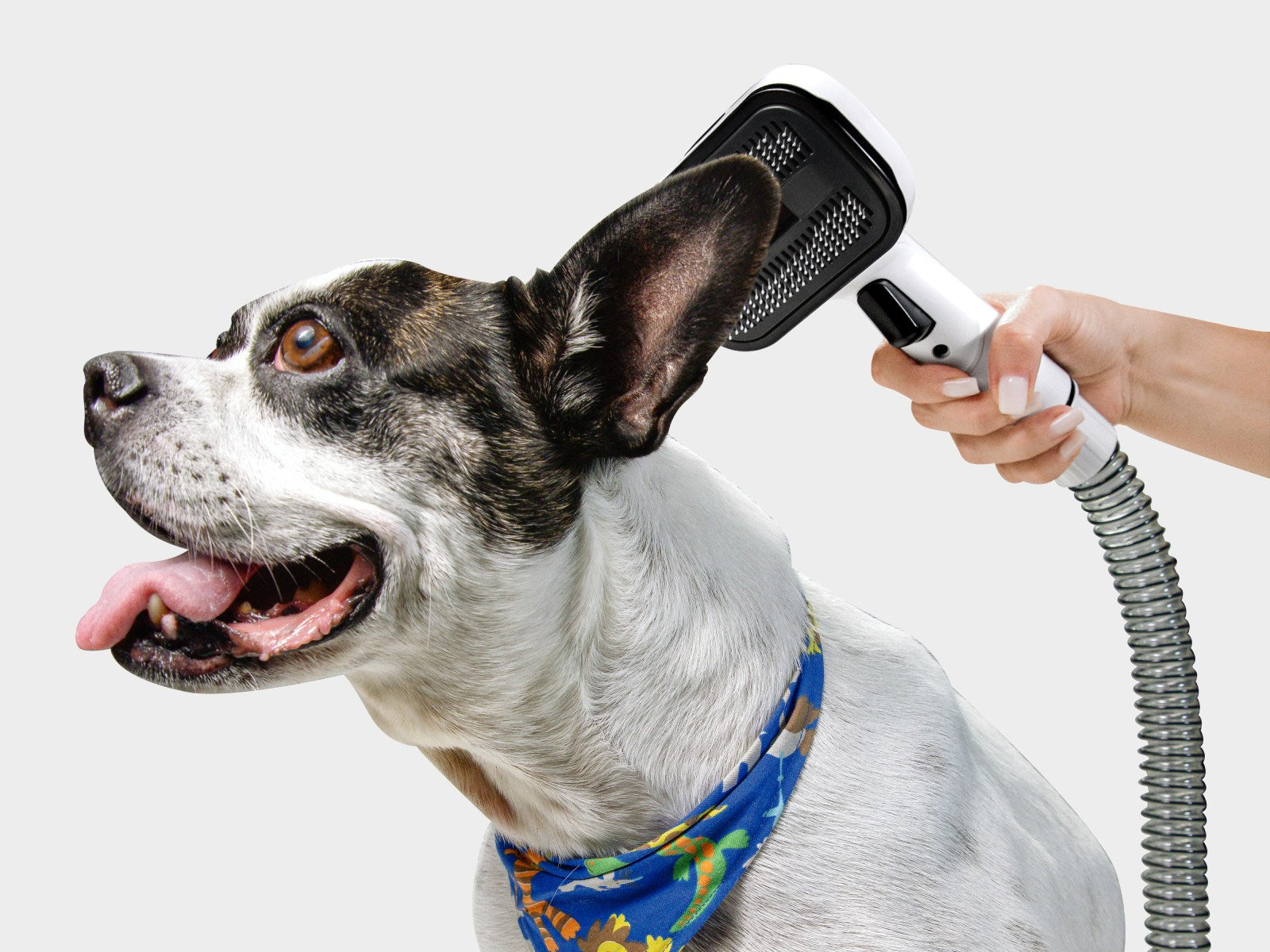 Aspiradora Grooming Mascotas Karcher