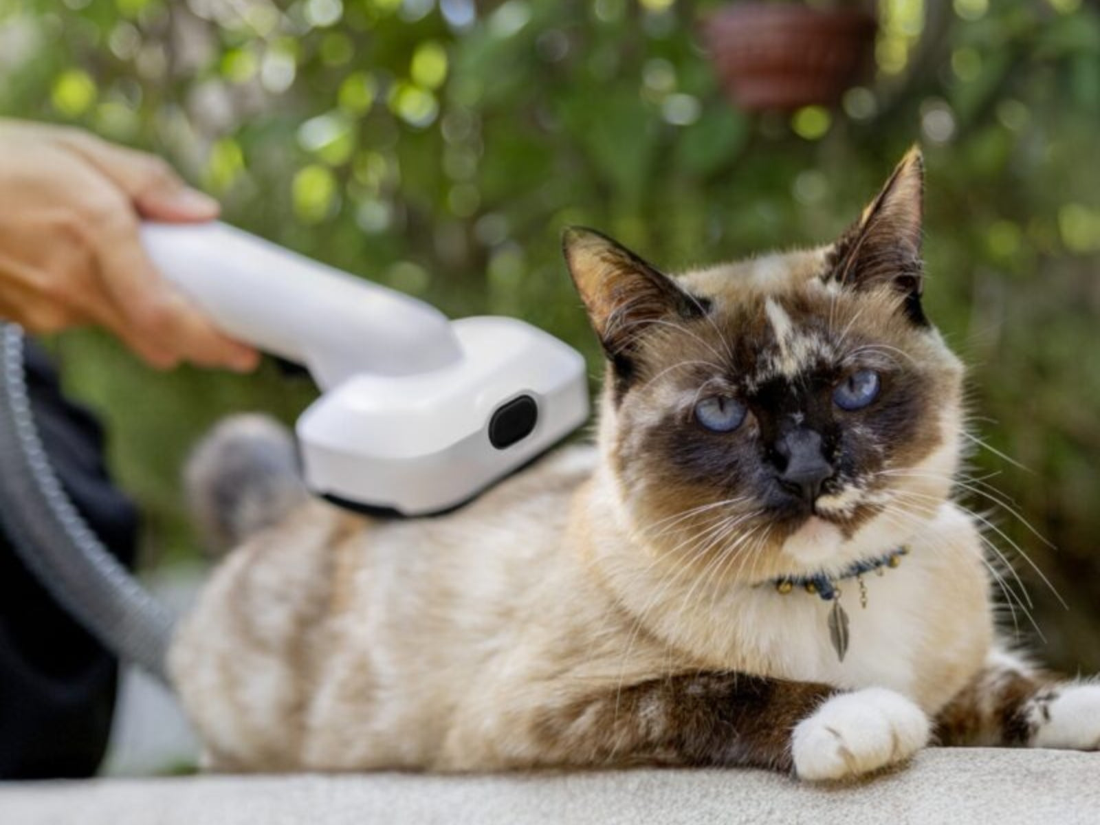 Aspiradora Grooming Mascotas Karcher