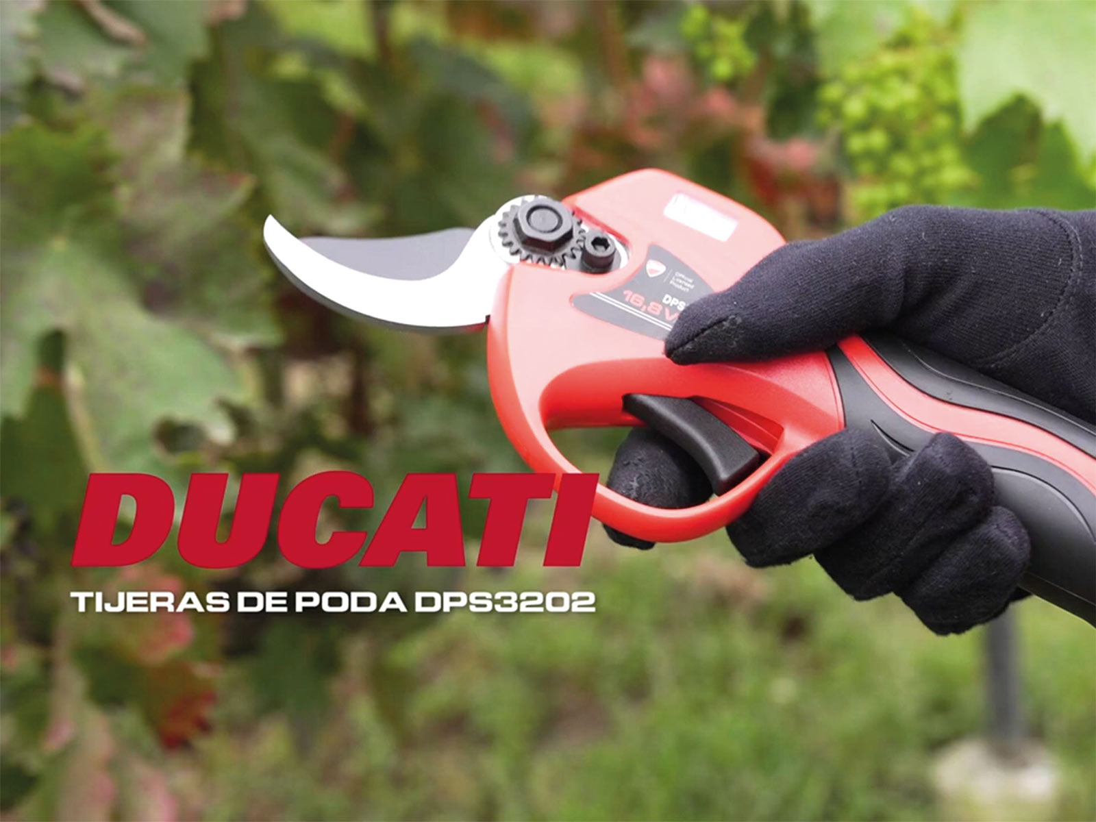 Tijera Electrica Ducati