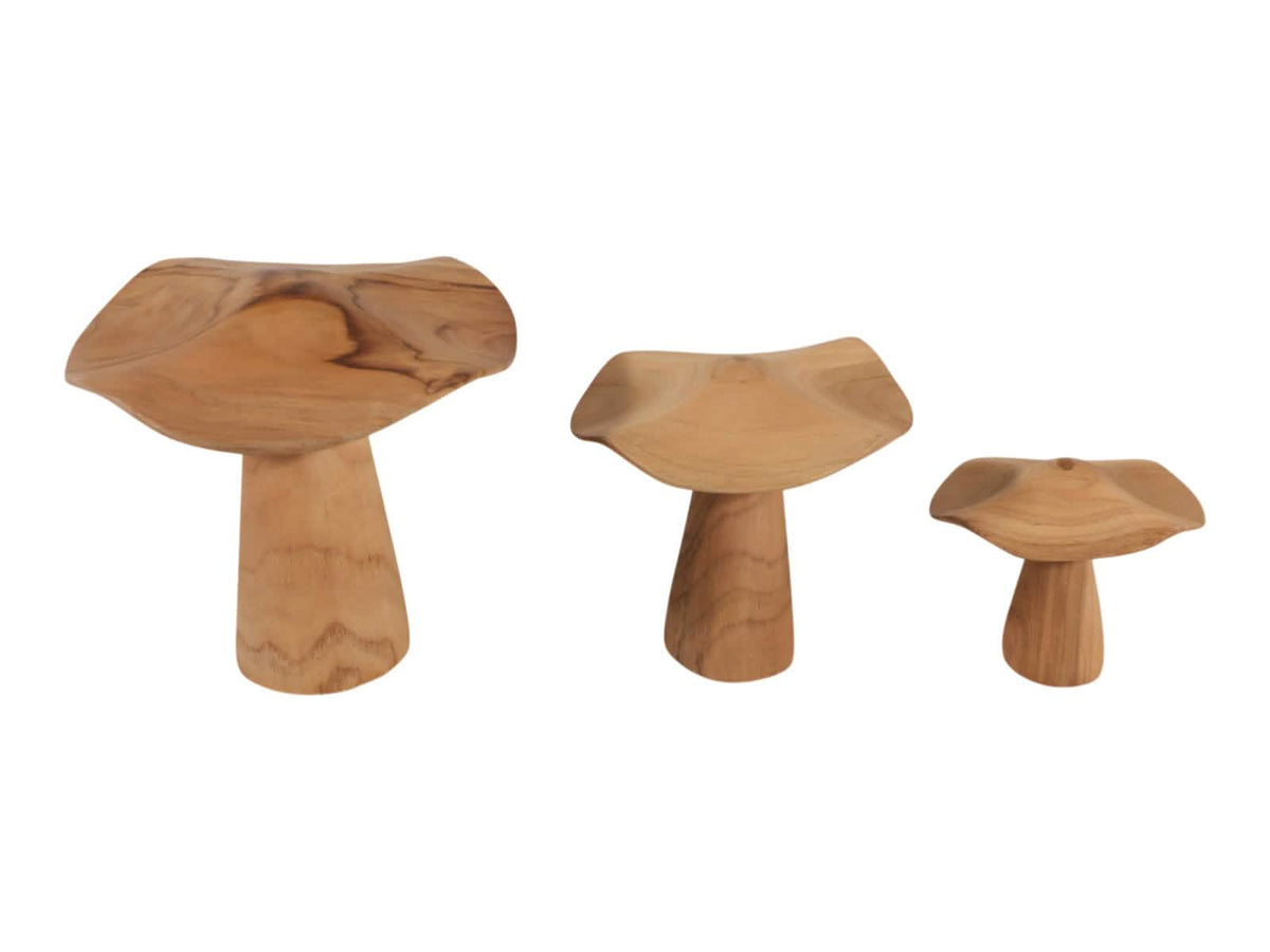 Figura Hongos Teca 3P