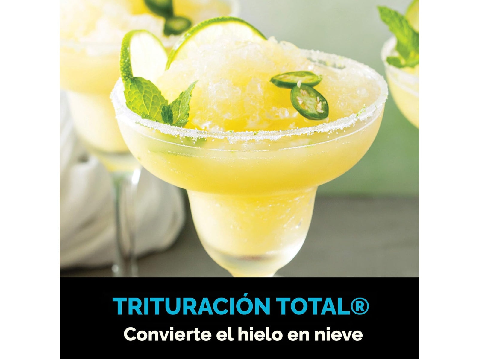 Licuadora Professional Plus Ninja