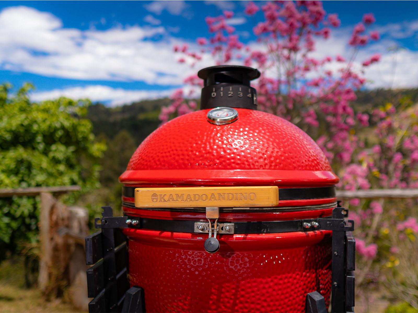 Grill Kamado Large 22 #Color_Red