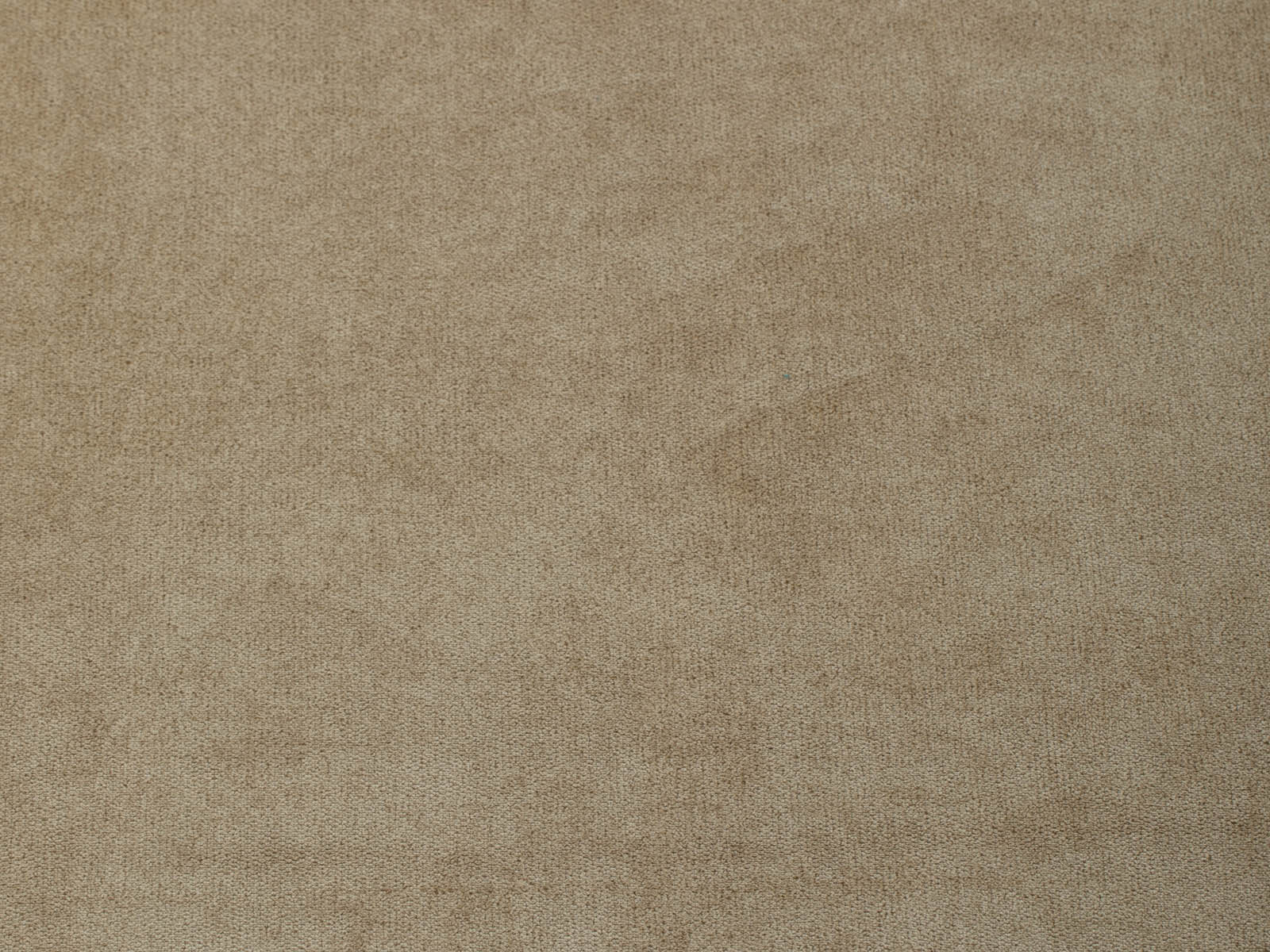 Silla Torino C/Miel #Color_Wheat"T3210"