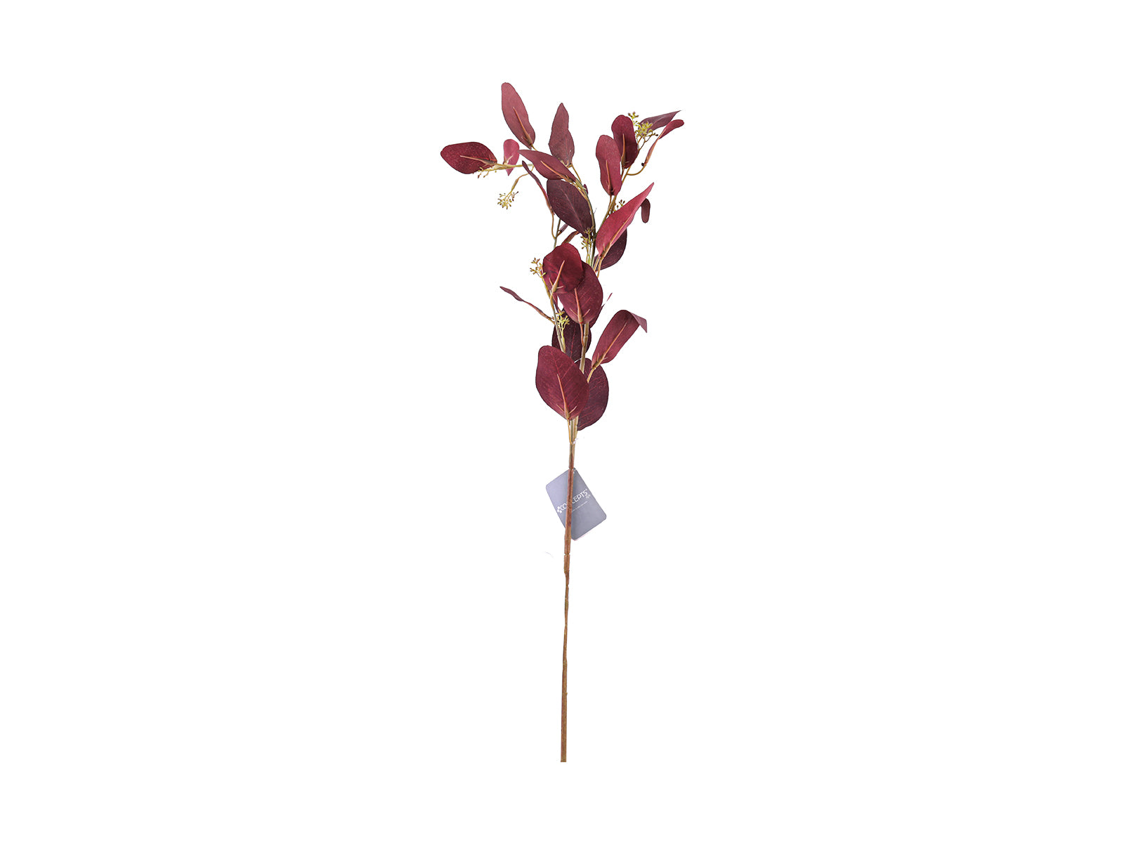 Rama Eucalipto 72cm