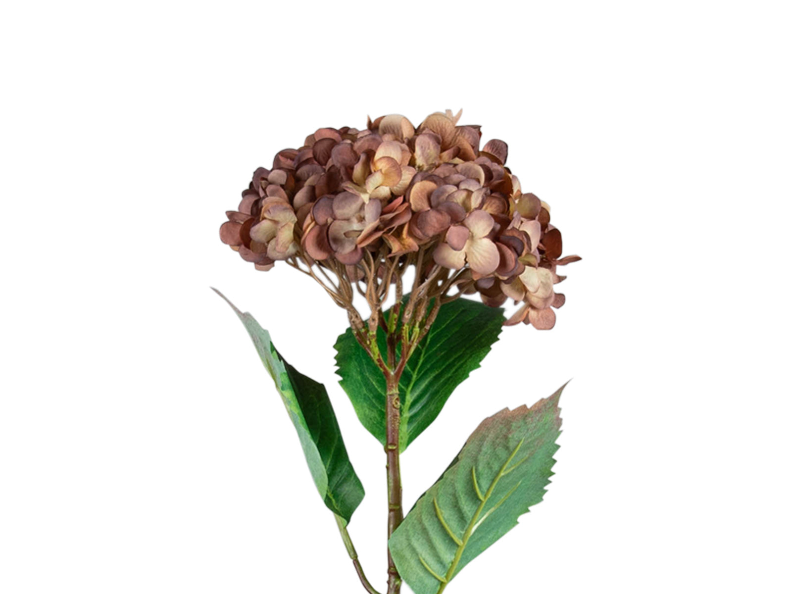 Arreglo Floral Hortensia Artificial C/Marron