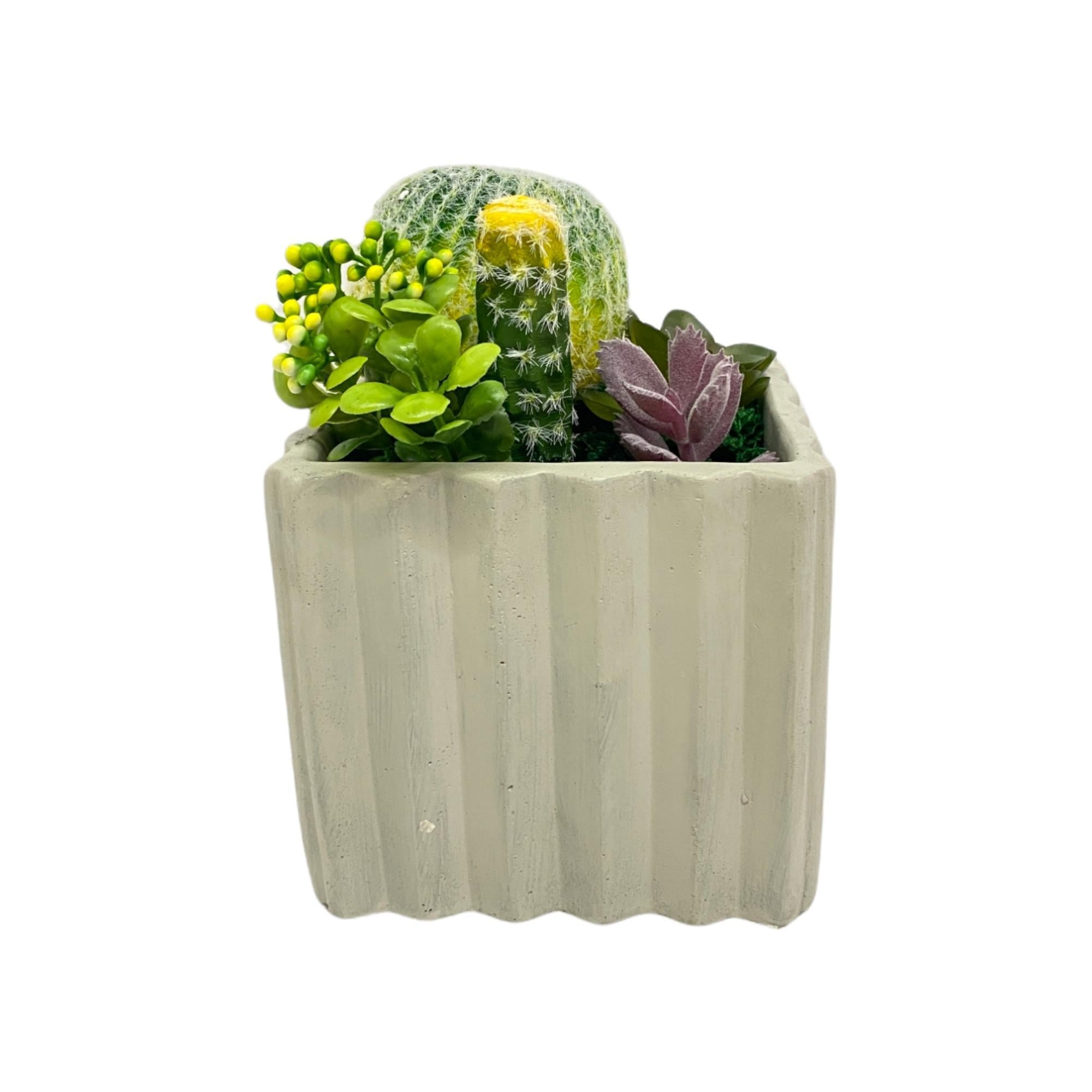 Arreglo Floral con Pote Cactus C/Verde